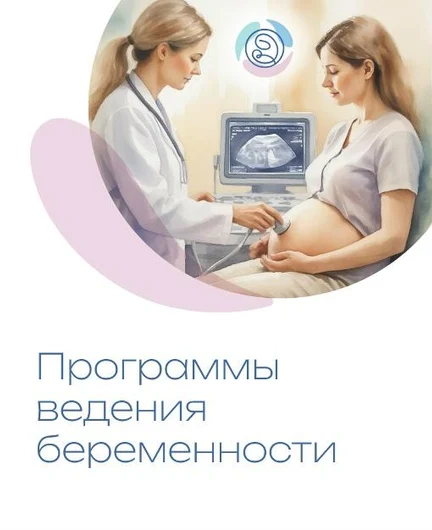 73ebd8f2-a2a4-46ab-922c-3161b49191b8-knfshu2-nhvjtcgd0timpivlpzr-pchizv1jcczu-wbzbkcqidij9hyxg2262-9klo5qr7sxxjiwmvg-0p8r26fp.jpg